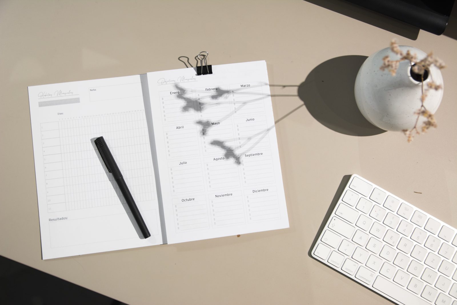 Planner and workspace — life management services